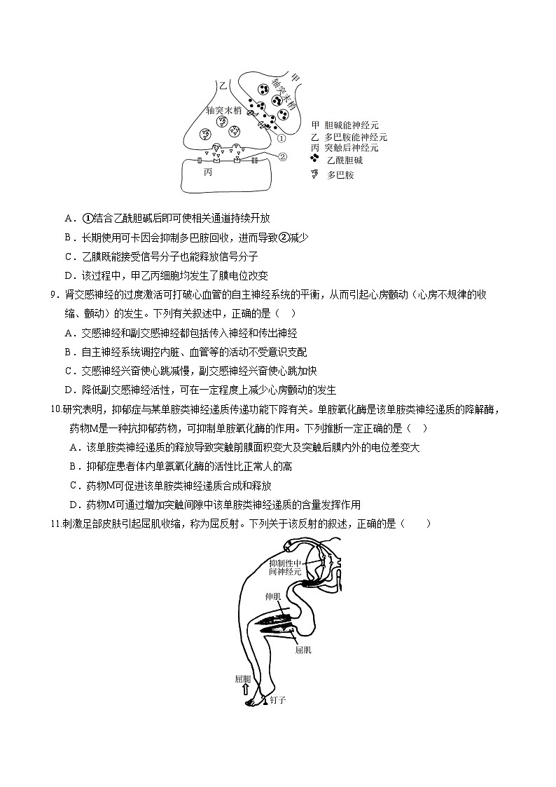 学易金卷:高二生物上学期第一次月考02【测试范围:第1-2章】(考试版)(人教版2019)第3页