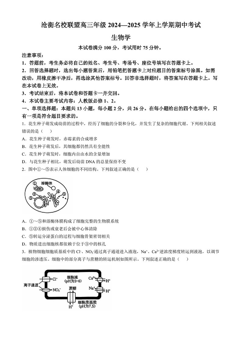 2025届河北省沧衡名校联盟高三下学期11月期中考-生物试题(含答案)第1页
