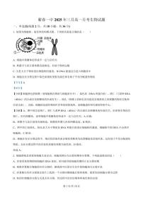 湖北省黄冈市蕲春县第一高级中学2024-2025学年高一下学期3月月考生物试卷+解析