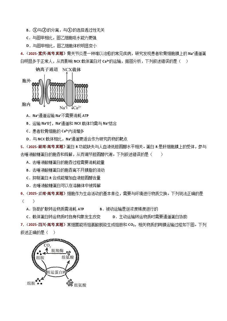 五年(2021-2025)高考生物真题分类汇编:专题03 物质的跨膜运输(全国通用)(原卷版)第3页