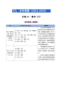 五年（2021-2025）高考生物真题分类汇编：专题04 酶和ATP（全国通用）（原卷版）