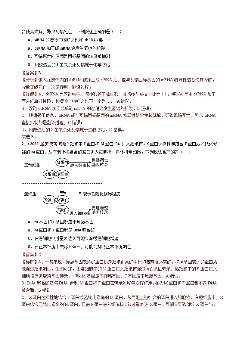 五年(2021-2025)高考生物真题分类汇编:专题08 遗传的分子基础(全国通用)(解析版)第2页