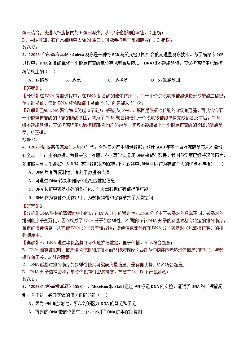 五年(2021-2025)高考生物真题分类汇编:专题08 遗传的分子基础(全国通用)(解析版)第3页