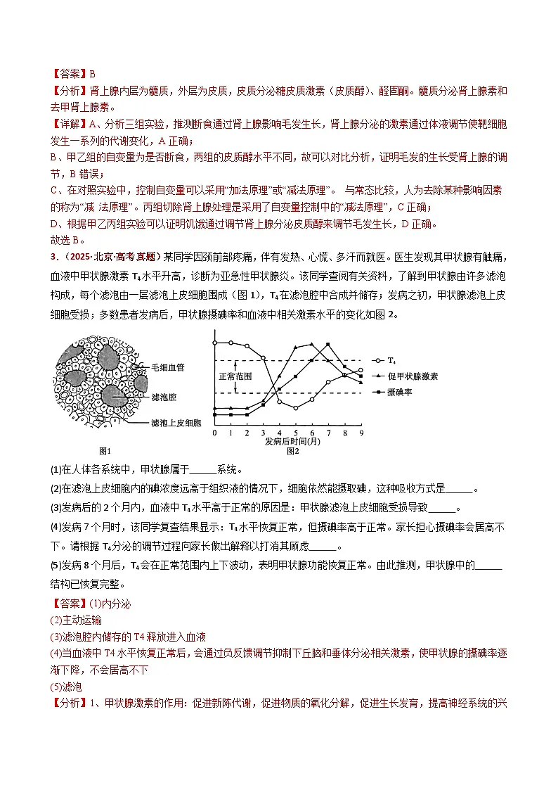 五年(2021-2025)高考生物真题分类汇编:专题15 体液调节(全国通用)(解析版)第3页