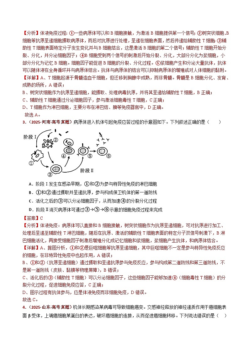 五年(2021-2025)高考生物真题分类汇编:专题16 免疫调节(全国通用)(解析版)第3页