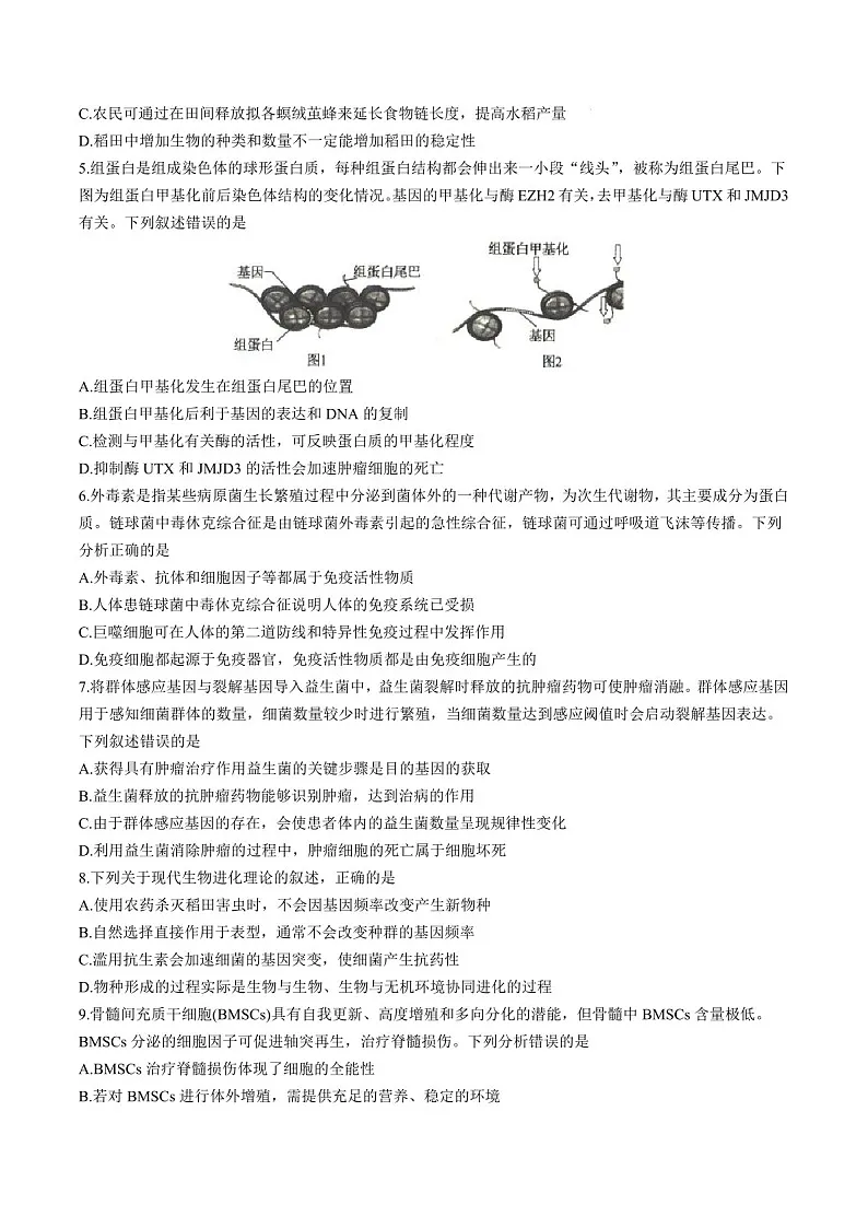 2025届河北省沧州市运东五校高三下学期11月期中考-生物试卷(含答案)第2页