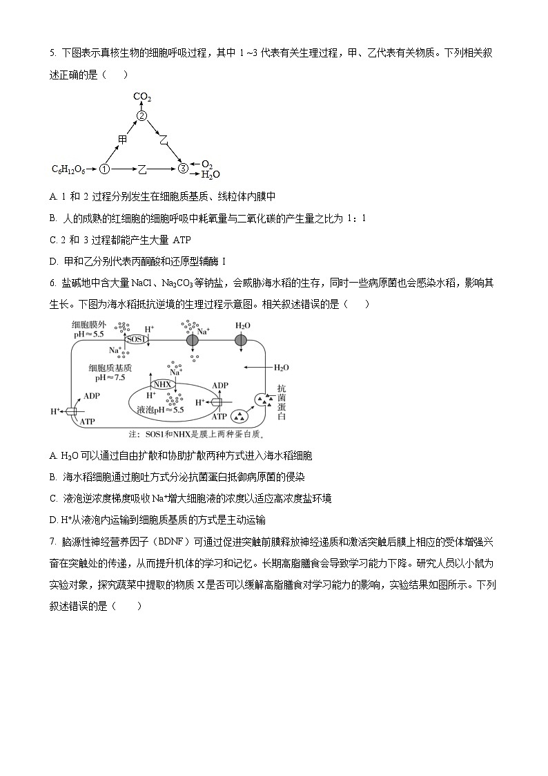精品解析:广东省汕头市潮阳区汕头市潮阳实验学校2025-2026学年高二上学期9月月考生物试题(原卷版)第2页