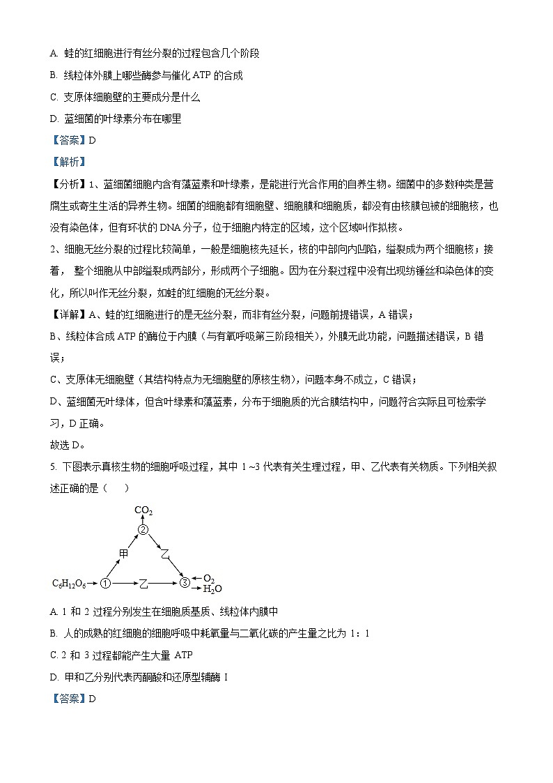 精品解析:广东省汕头市潮阳区汕头市潮阳实验学校2025-2026学年高二上学期9月月考生物试题(解析版)第3页