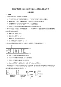 湖北省孝感市2025-2026学年高二上学期9月起点考试生物试卷（Word版附答案）