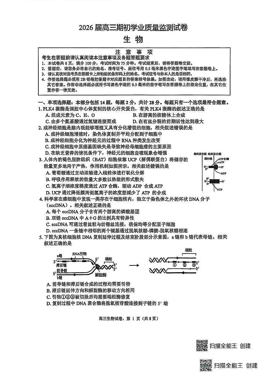 江苏省南通市海安市2025-2026学年高三上学期期初考试生物试卷(含答案)第1页