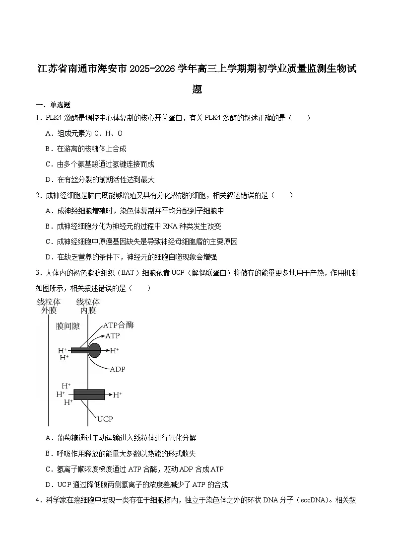 江苏省南通市海安市2026届高三上学期期初学业质量监测生物试卷(含答案)第1页