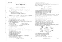 2026广西部分学校高三上学期9月联考试题生物PDF版含解析