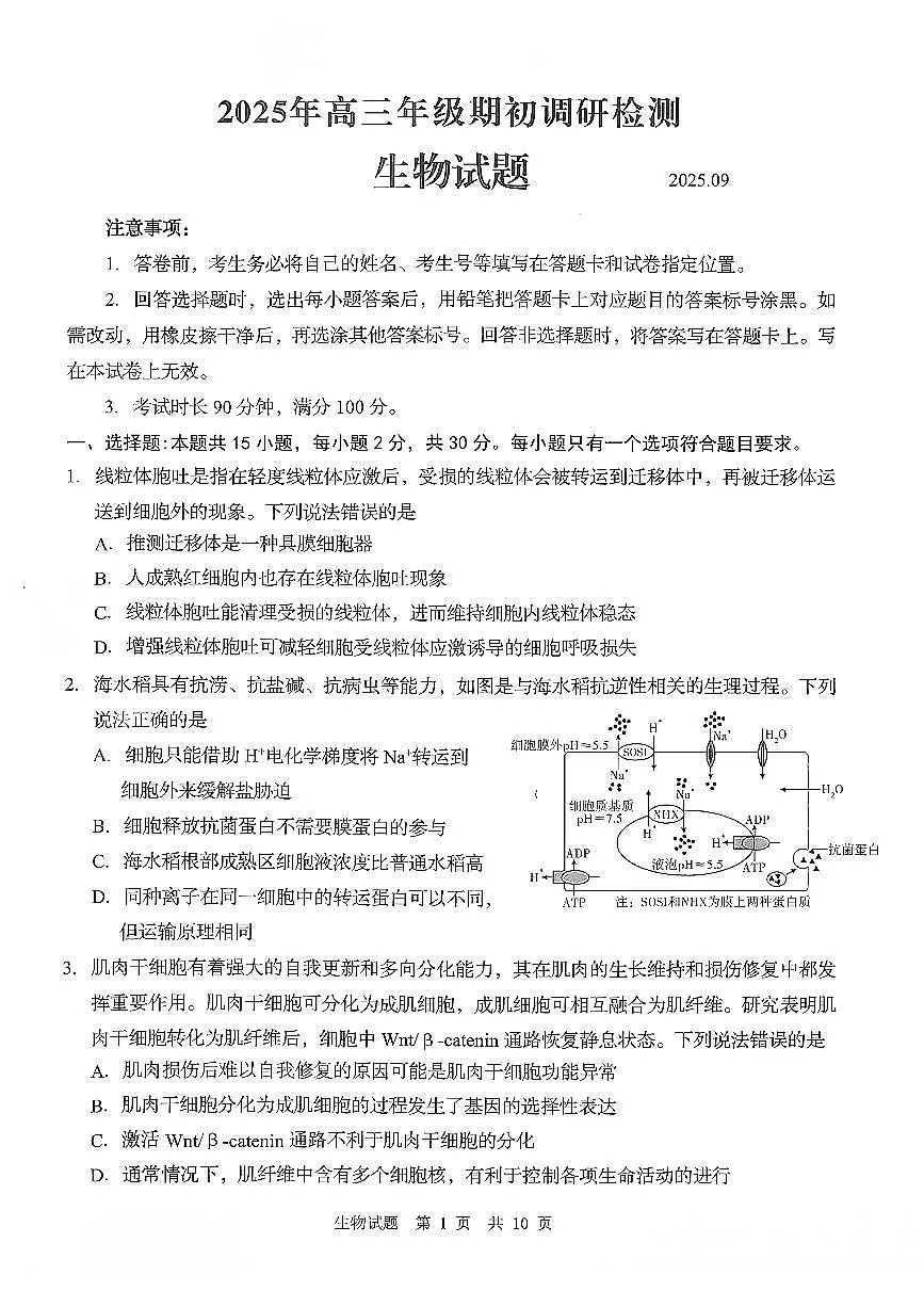 生物-山东省青岛市2025年高三年级上学期开学9月调研检测试题及答案第1页