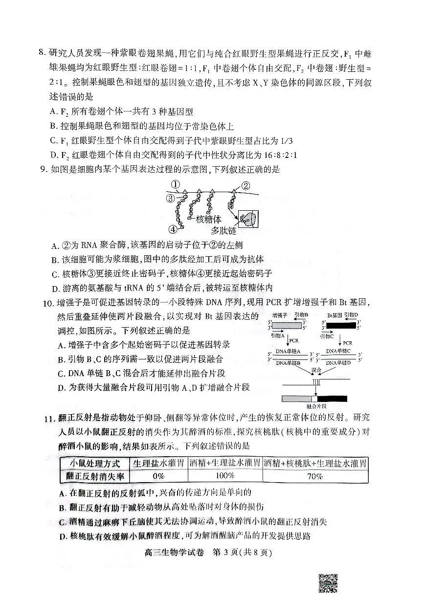 湖北省荆州市2026届高三上学期9月起点考生物试题无答案第3页