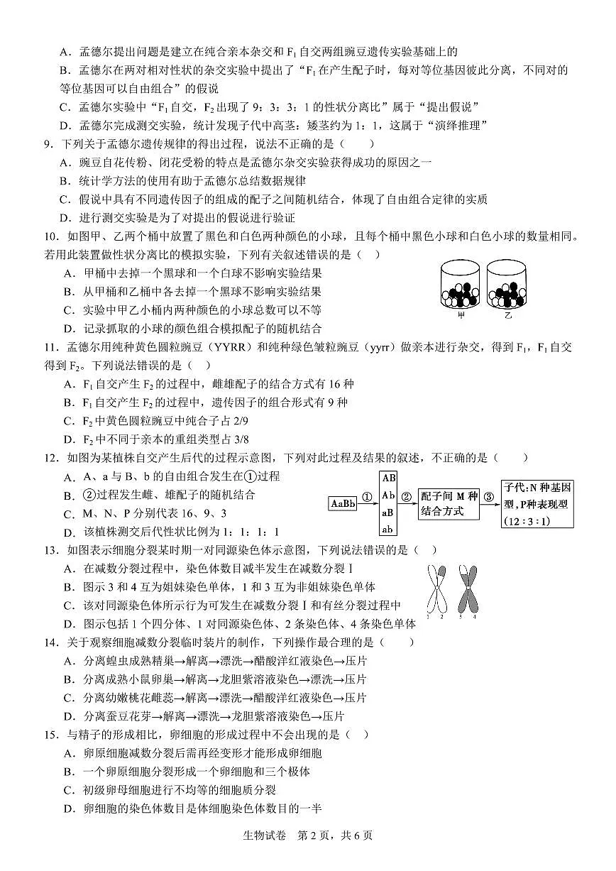 四川省南充市高级中学2024-2025学年高一下学期4月考试题生物试卷+答案第2页