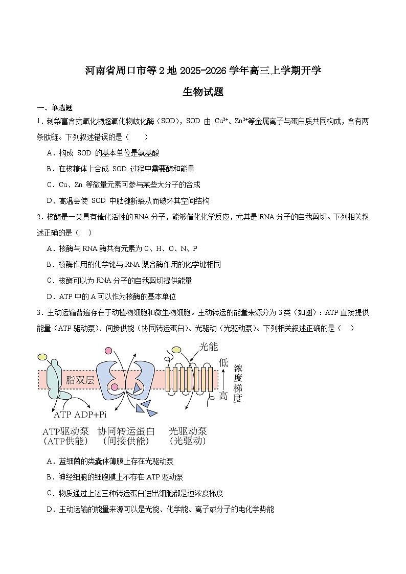 2026周口等2地高三上学期开学检测试题生物含答案第1页