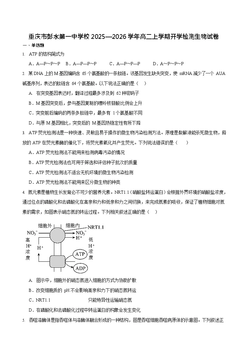重庆市彭水第一中学校2025—2026学年高二上学期开学检测生物试卷第1页