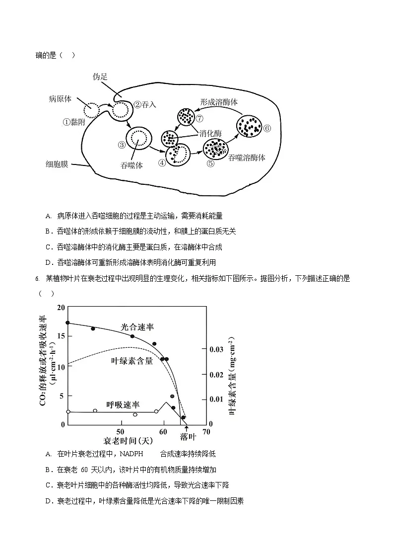 重庆市彭水第一中学校2025—2026学年高二上学期开学检测生物试卷第2页