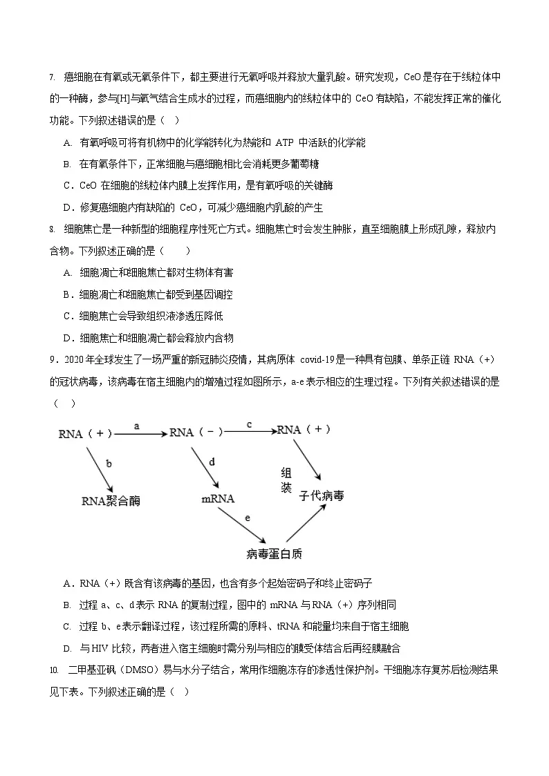 重庆市彭水第一中学校2025—2026学年高二上学期开学检测生物试卷第3页