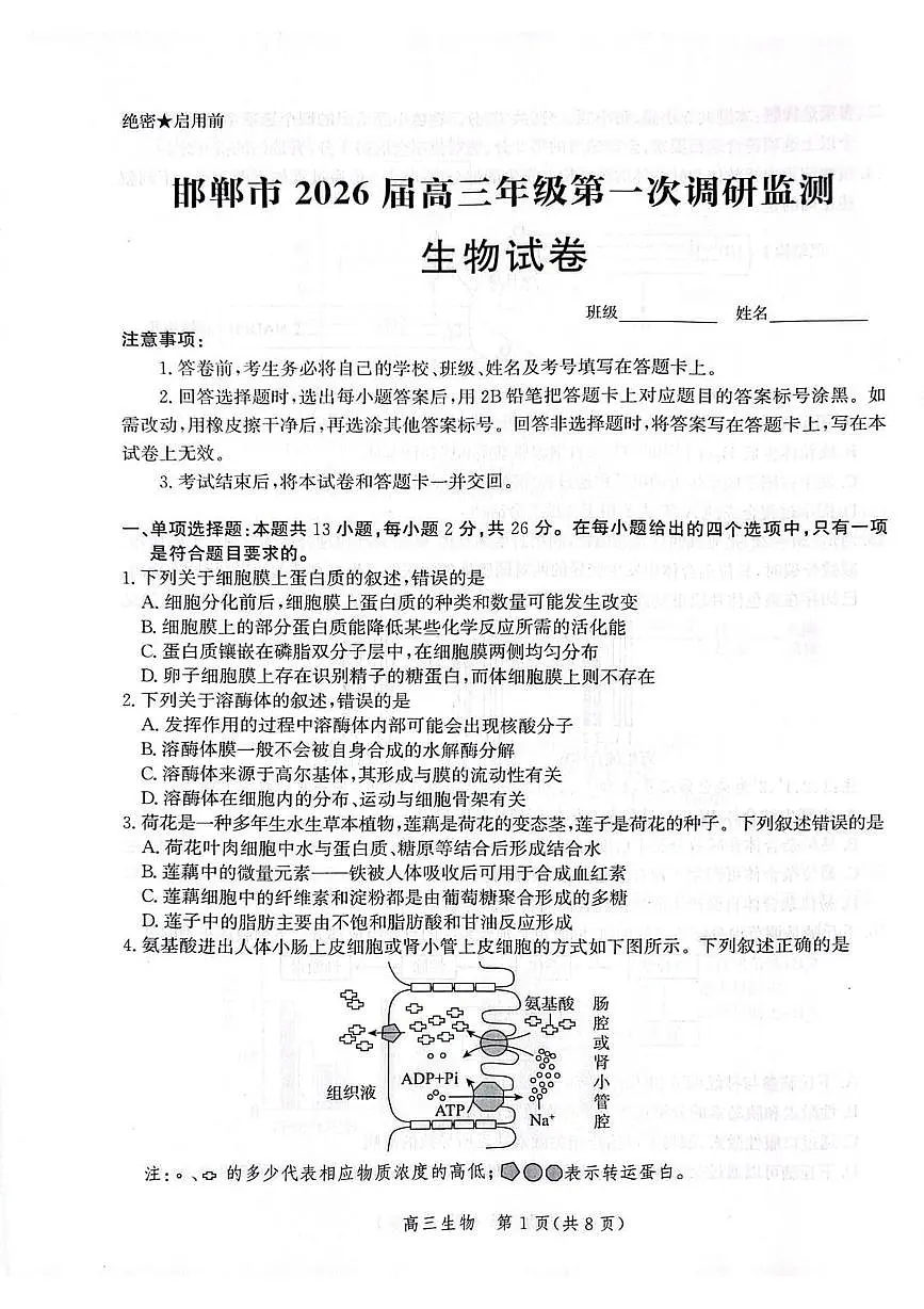 河北省邯郸市2025-2026学年高三上学期第一次调研监测生物试卷第1页