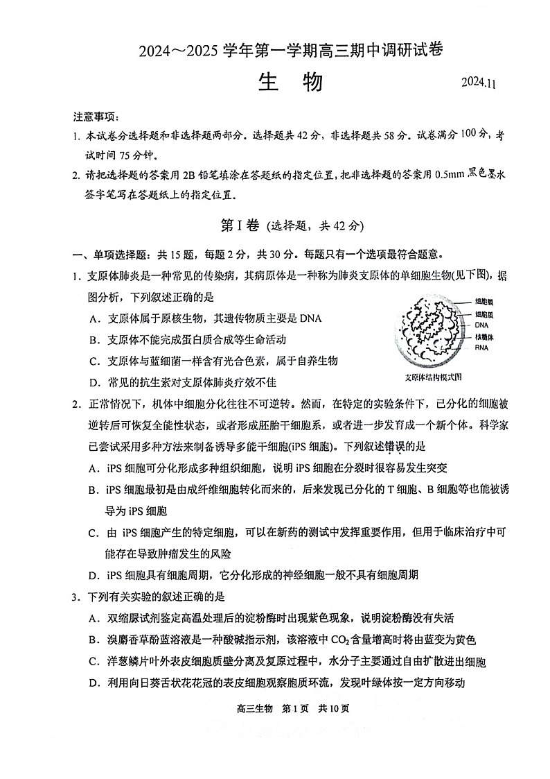 2025届江苏省苏州市高三下学期11月期中调研考-生物试卷(学生版)第1页