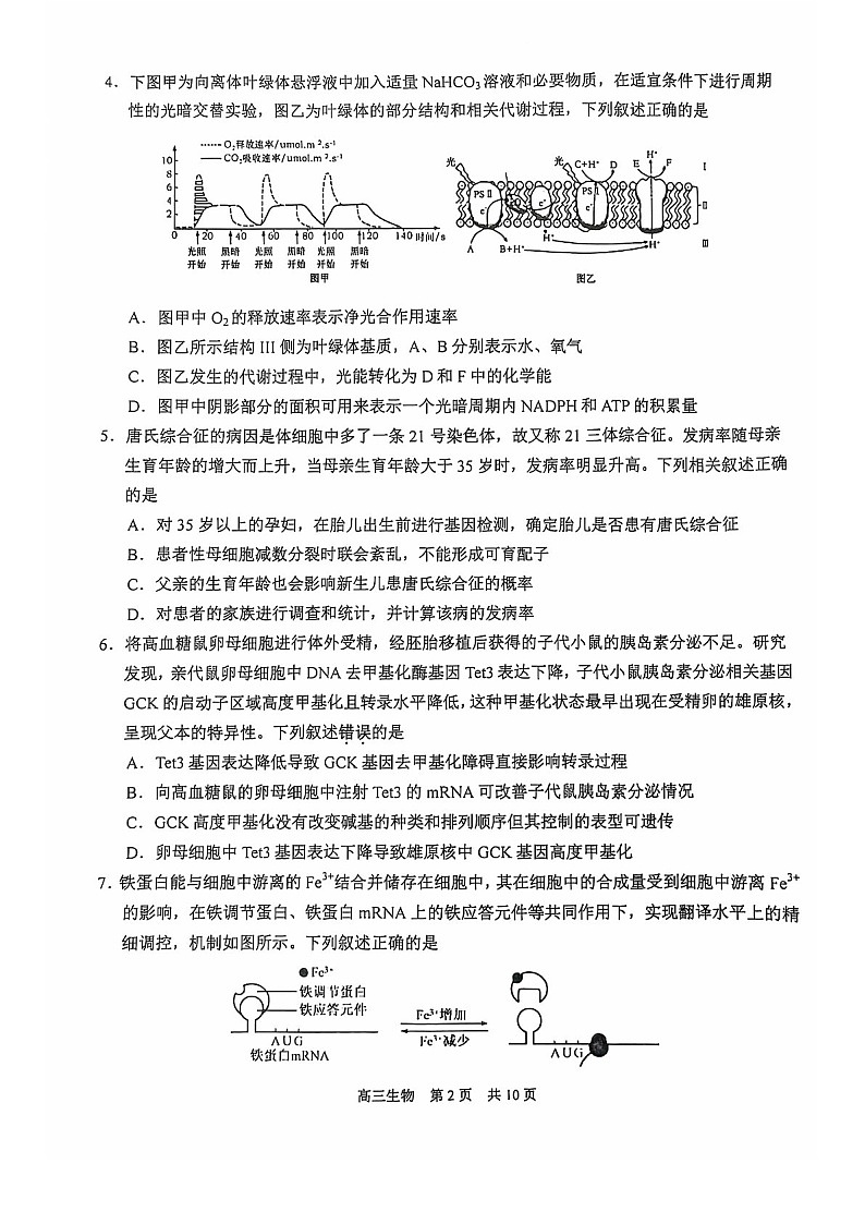 2025届江苏省苏州市高三下学期11月期中调研考-生物试卷(学生版)第2页