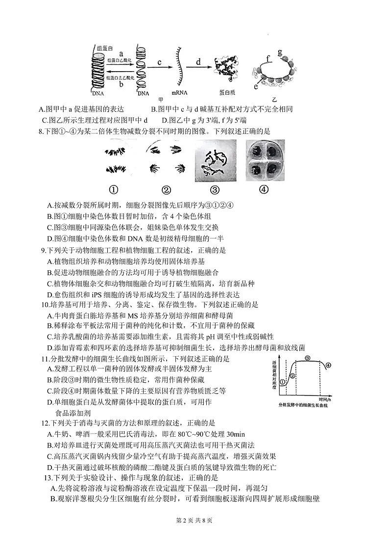 2025届江苏省徐州市高三下学期11月期中调研考-生物试卷(含答案)第2页
