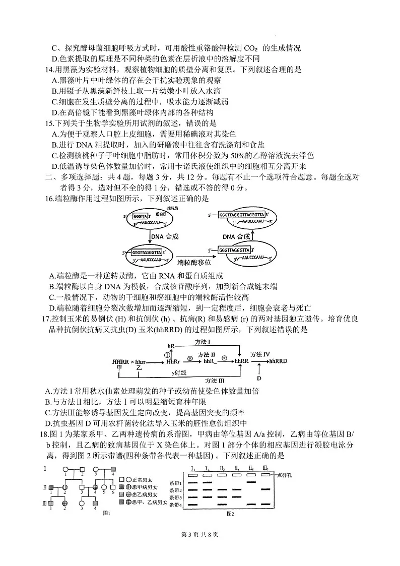2025届江苏省徐州市高三下学期11月期中调研考-生物试卷(含答案)第3页