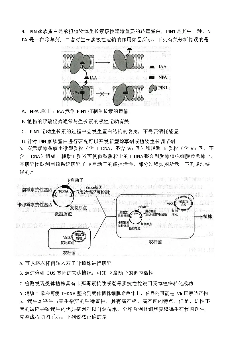 湖北省恩施州2026届高三上学期9月第一次月考考试 生物试卷第2页