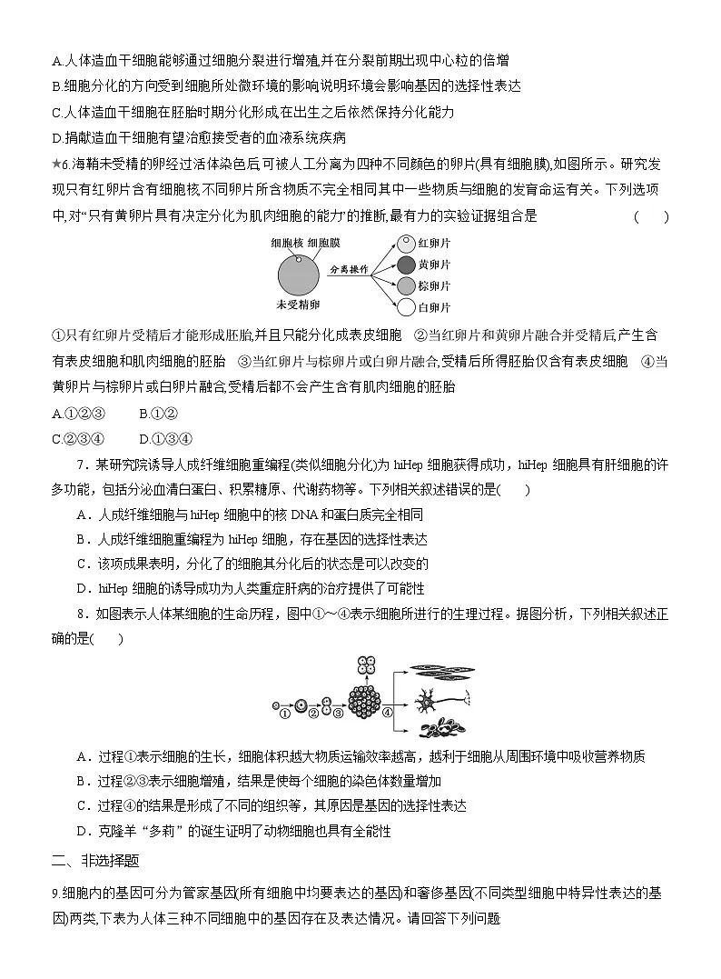 2025-2026学年高一生物(人教版)必修一课时跟踪检测(27)细胞的分化(Word版含解析)第2页