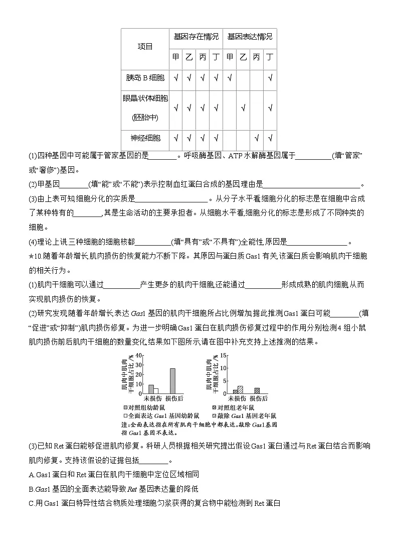 2025-2026学年高一生物(人教版)必修一课时跟踪检测(27)细胞的分化(Word版含解析)第3页