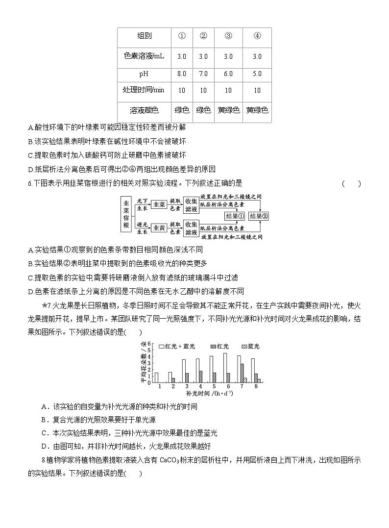 2025-2026学年高一生物(人教版)必修一课时跟踪检测(20)捕获光能的色素和结构(Word版含解析)第2页