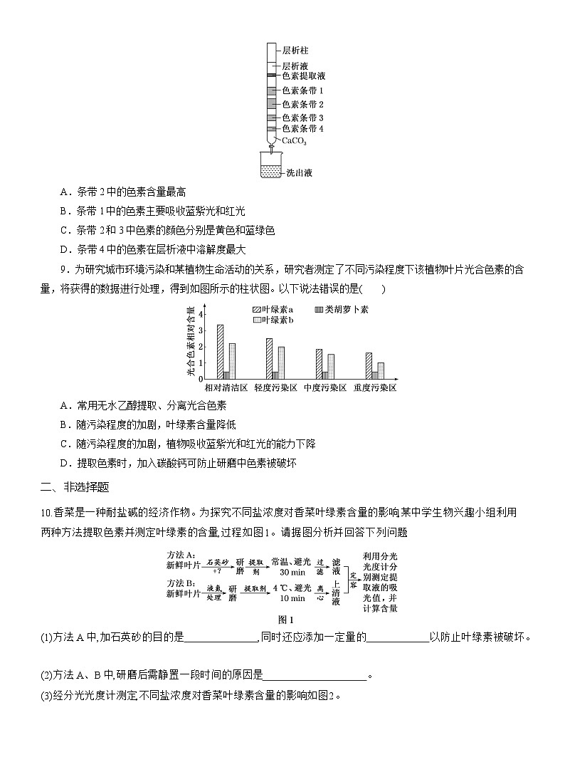 2025-2026学年高一生物(人教版)必修一课时跟踪检测(20)捕获光能的色素和结构(Word版含解析)第3页