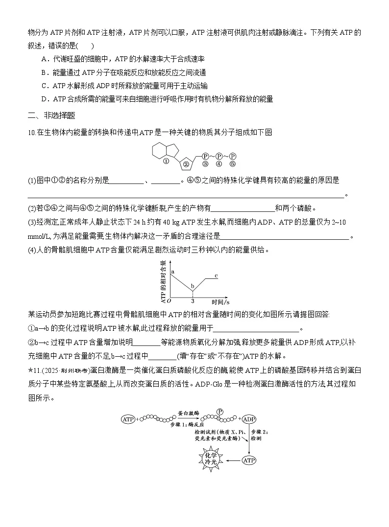 2025-2026学年高一生物(人教版)必修一课时跟踪检测(16)细胞的能量“货币”ATP(Word版含解析)第3页