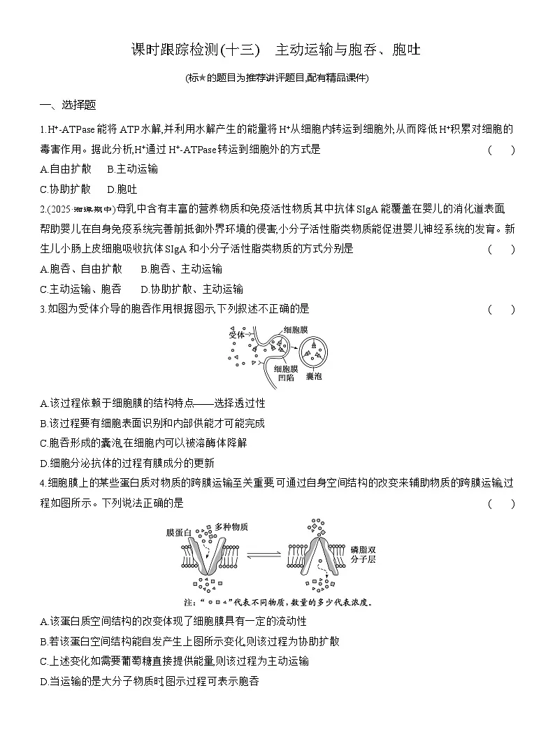 2025-2026学年高一生物(人教版)必修一课时跟踪检测(13)主动运输与胞吞、胞吐(Word版含解析)第1页