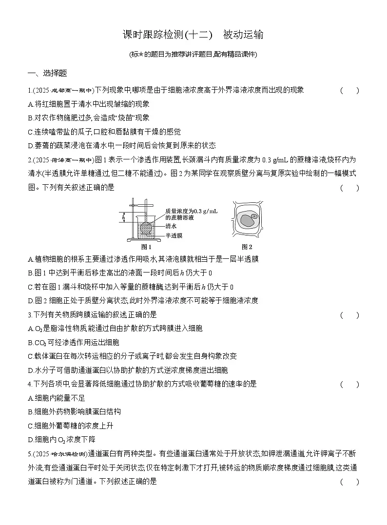 2025-2026学年高一生物(人教版)必修一课时跟踪检测(12)被动运输(Word版含解析)第1页