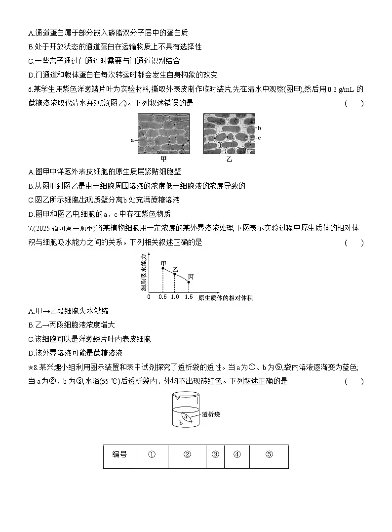 2025-2026学年高一生物(人教版)必修一课时跟踪检测(12)被动运输(Word版含解析)第2页