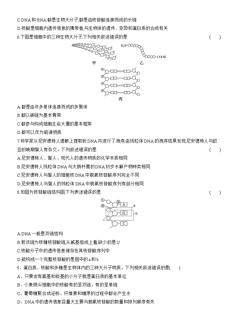 2025-2026学年高一生物(人教版)必修一课时跟踪检测(07)核酸是遗传信息的携带者(Word版含解析)第2页