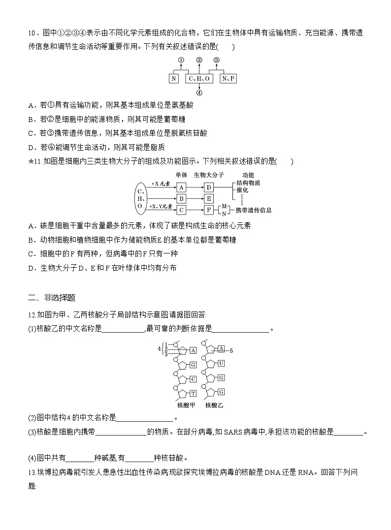 2025-2026学年高一生物(人教版)必修一课时跟踪检测(07)核酸是遗传信息的携带者(Word版含解析)第3页