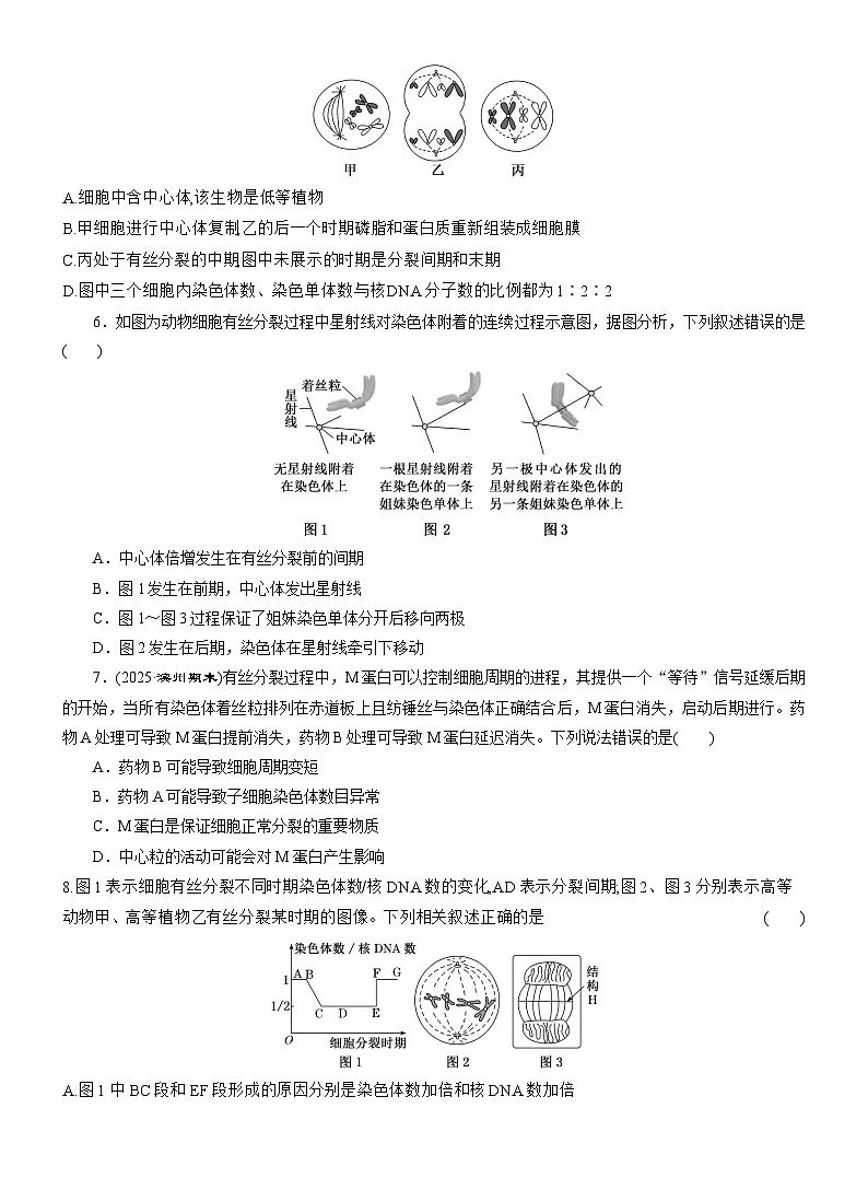 2025-2026学年高一生物(人教版)必修一课时跟踪检测(26)动物细胞的有丝分裂和观察根尖分生组织细胞的有丝分裂(Word版含解析)第2页