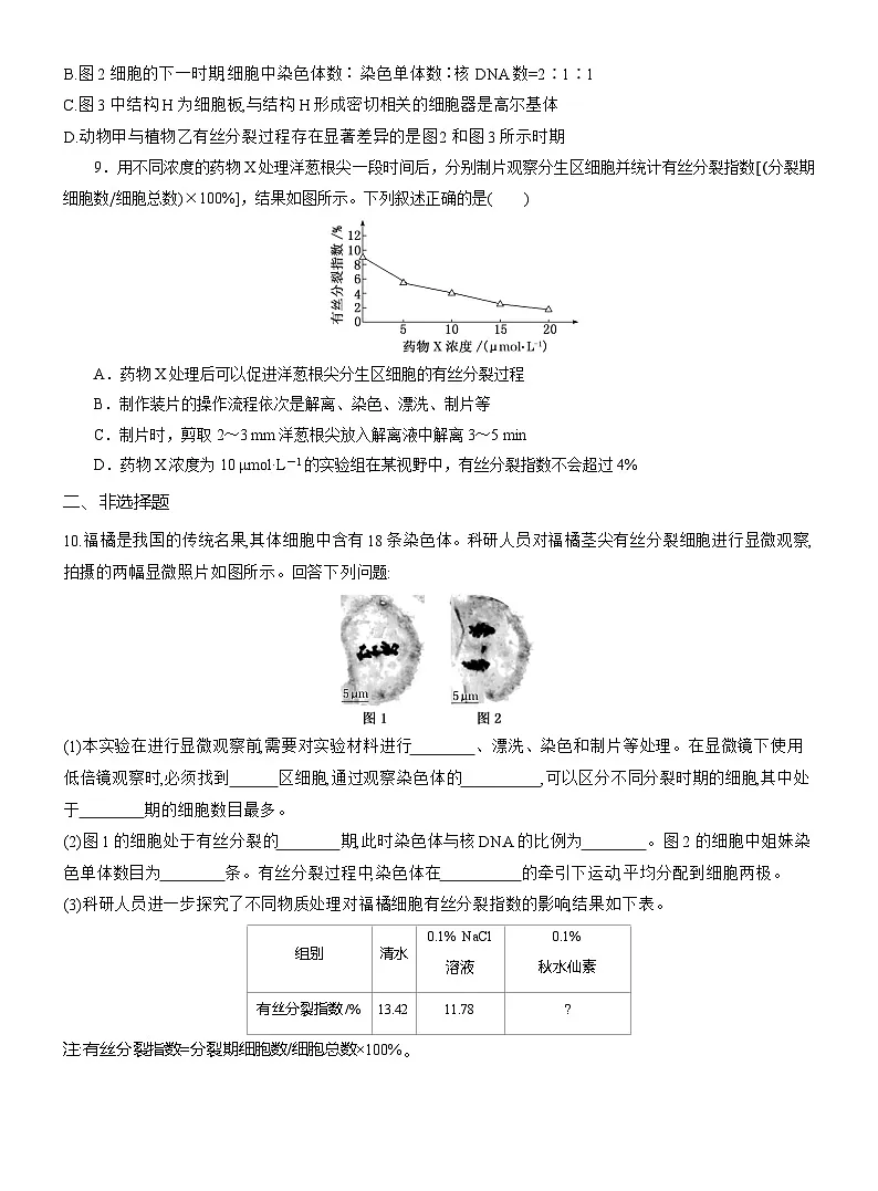 2025-2026学年高一生物(人教版)必修一课时跟踪检测(26)动物细胞的有丝分裂和观察根尖分生组织细胞的有丝分裂(Word版含解析)第3页
