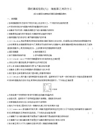 人教版 (2019)必修1《分子与细胞》细胞器之间的分工合作课时作业