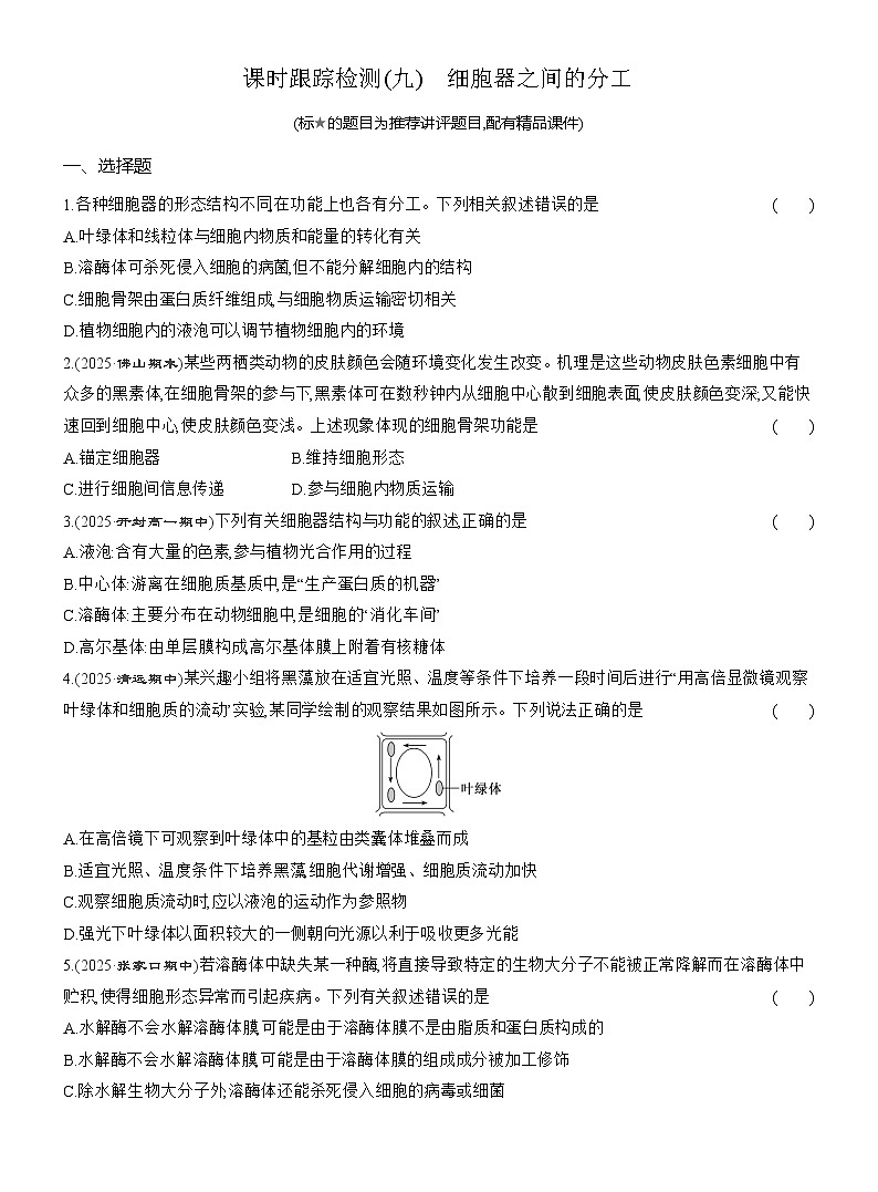 2025-2026学年高一生物(人教版)必修一课时跟踪检测(09)细胞器之间的分工(Word版含解析)第1页