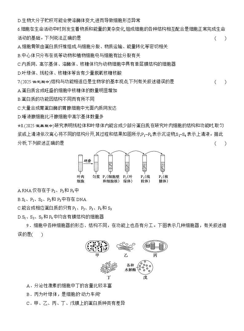 2025-2026学年高一生物(人教版)必修一课时跟踪检测(09)细胞器之间的分工(Word版含解析)第2页