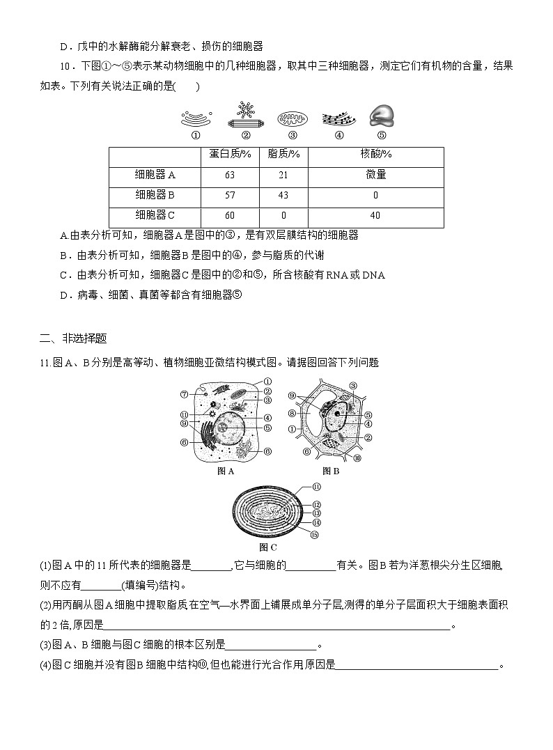 2025-2026学年高一生物(人教版)必修一课时跟踪检测(09)细胞器之间的分工(Word版含解析)第3页