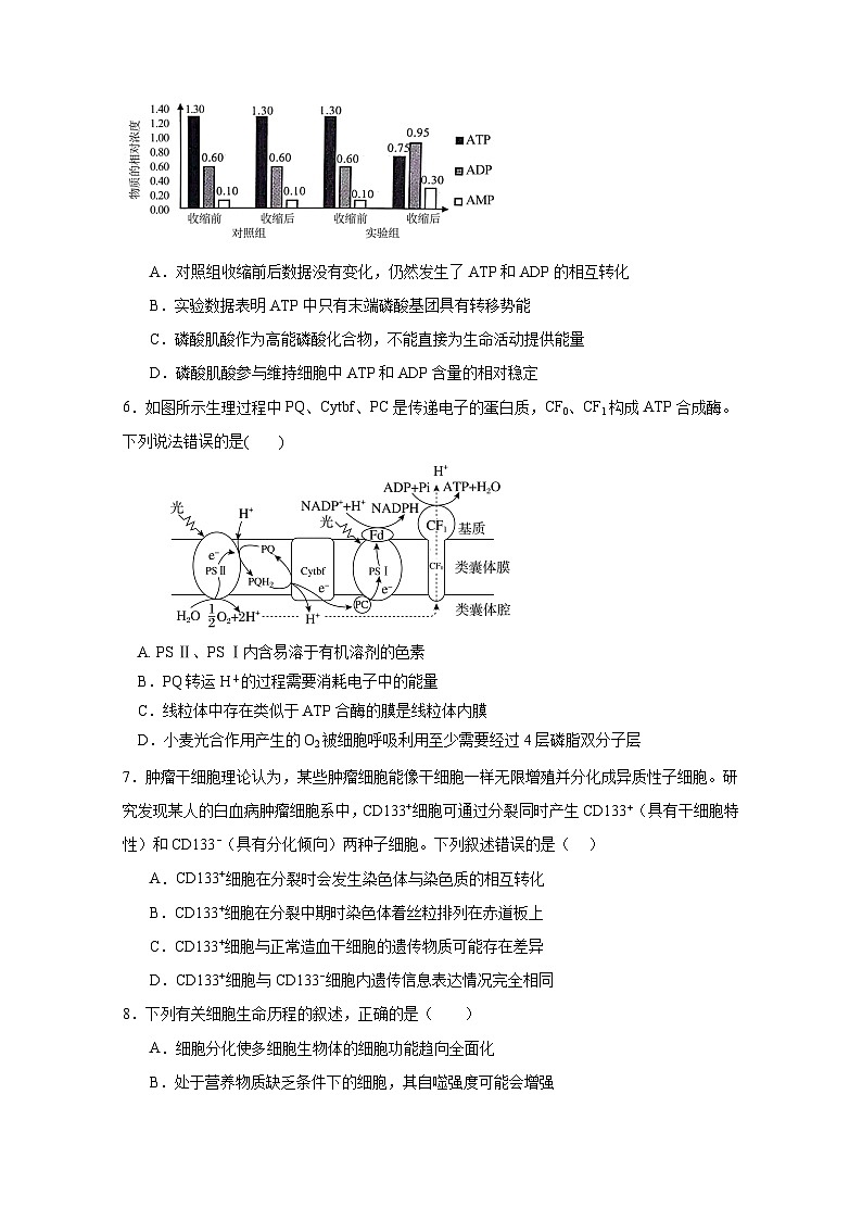 宜宾三中高2023级高三第一次模拟考试+生物第2页