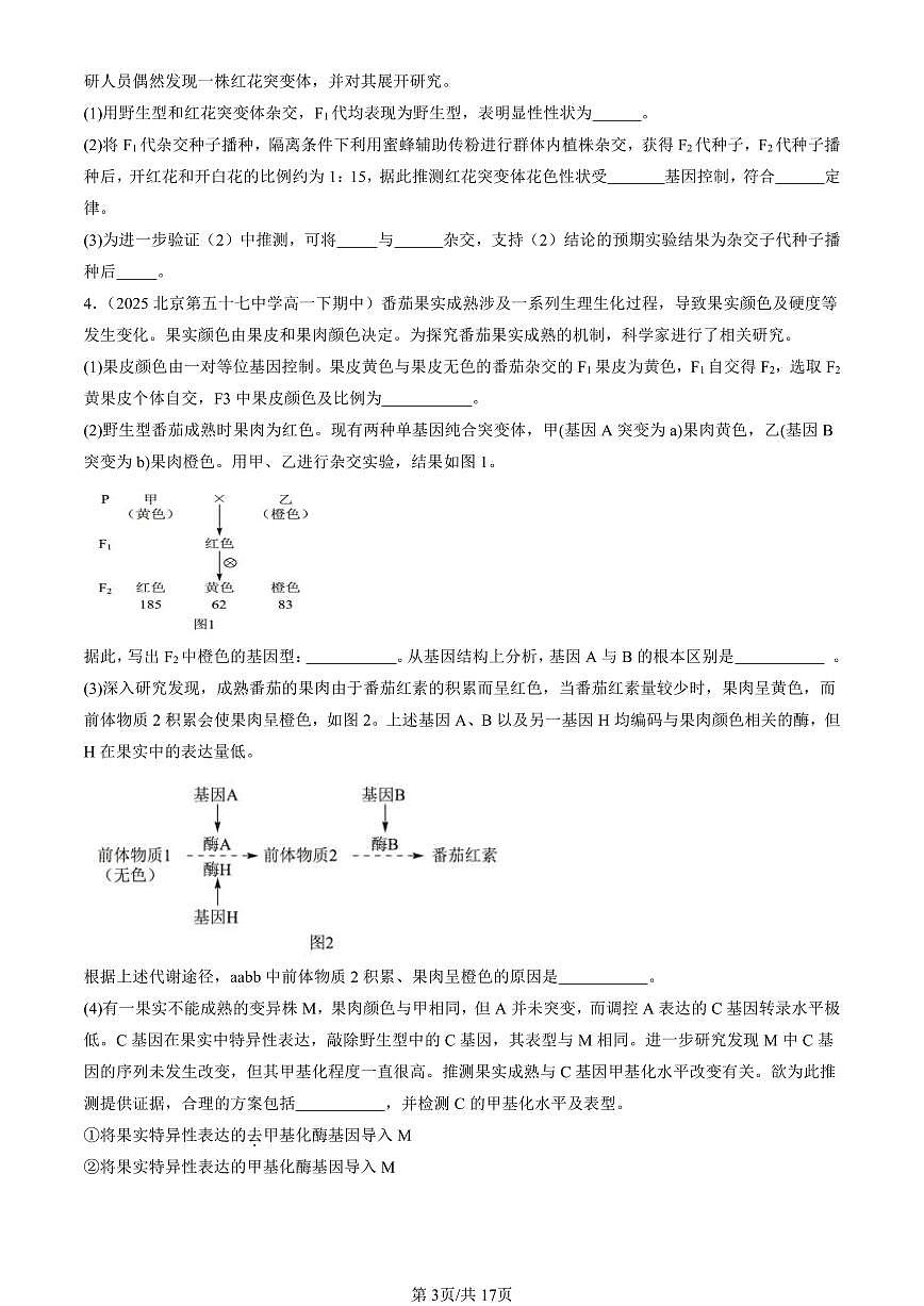 2025北京重点校高一(下)期中生物汇编(试题):基因突变及其它变异章节综合(非选择题) 有答案解析第3页