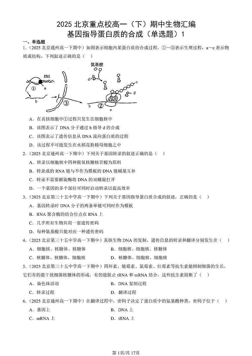 2025北京重点校高一(下)期中生物汇编(试题):基因指导蛋白质的合成(单选题)1 有答案解析第1页