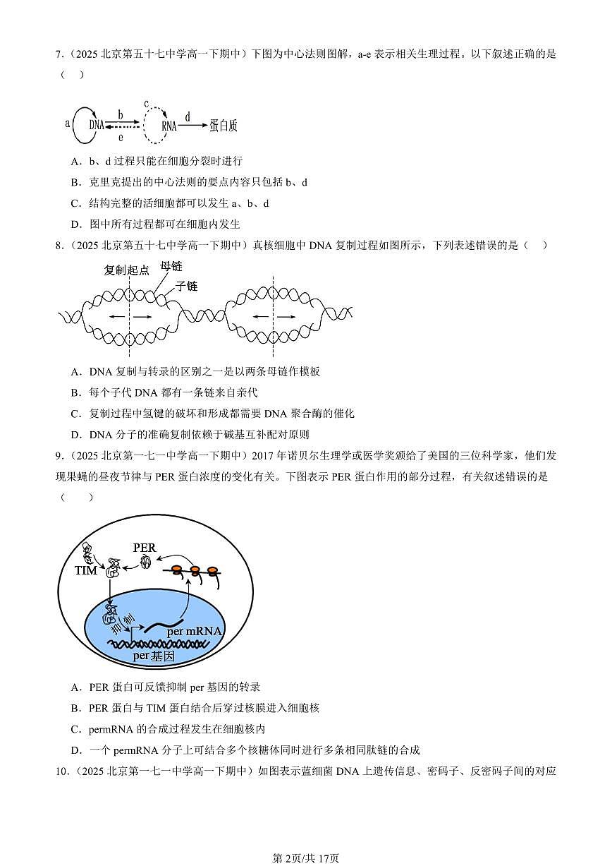 2025北京重点校高一(下)期中生物汇编(试题):基因指导蛋白质的合成(单选题)1 有答案解析第2页