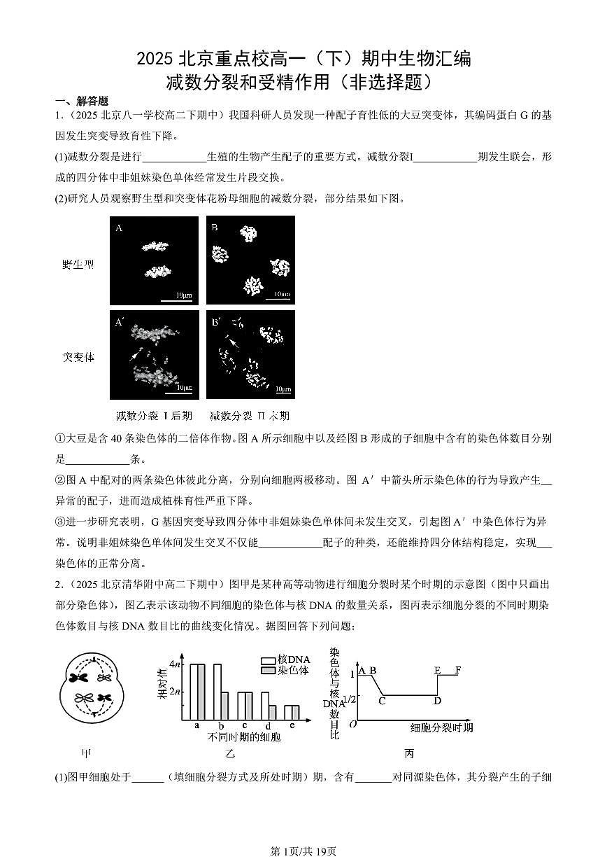 2025北京重点校高一(下)期中生物汇编(试题):减数分裂和受精作用(非选择题) 有答案解析第1页